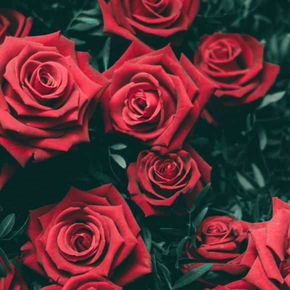 Meet your Posher, Jay - Picture 1 of 1